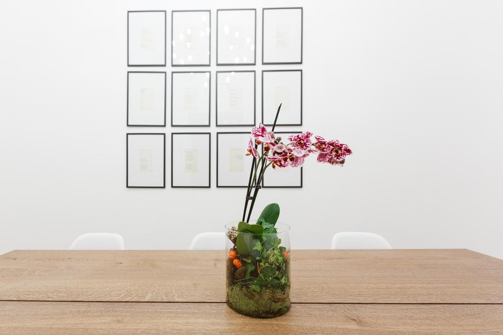 Modern Comfort, Poetic Charm 罗马 外观 照片